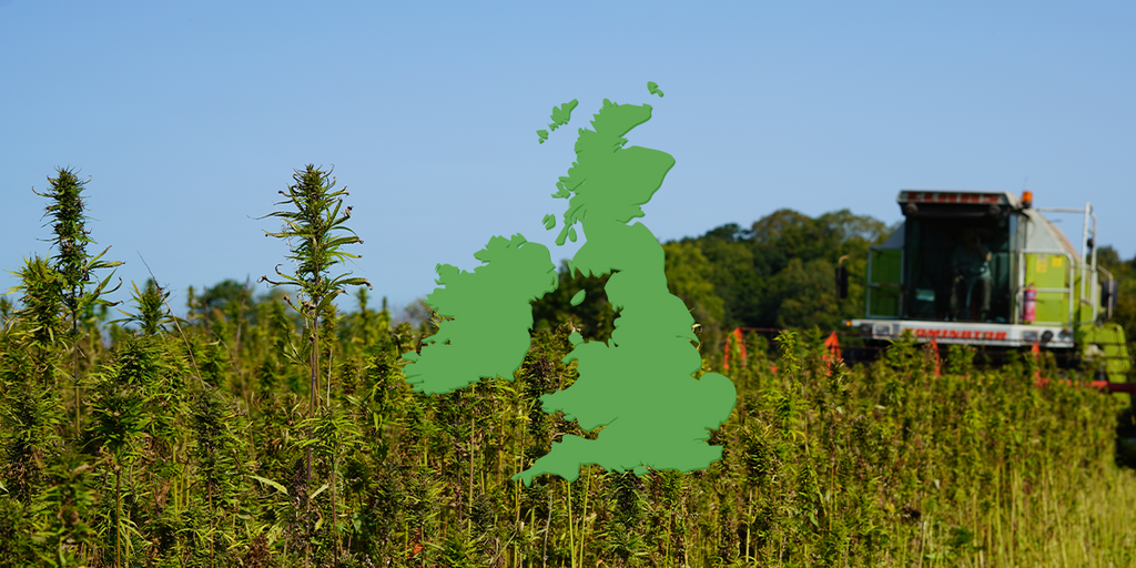 Is CBD legal in the UK?
