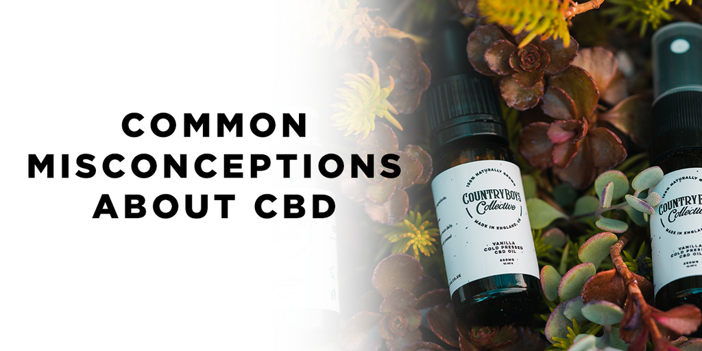 Common misconceptions about CBD: is it legal? Will CBD get you high? Does CBD make you Sleepy?